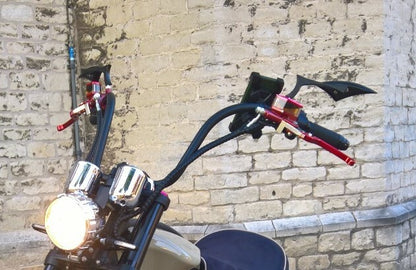 Batwing spiegelset