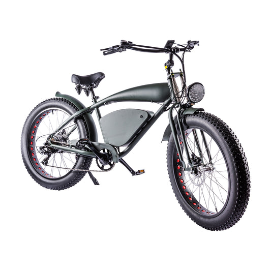 Vintage-Cruiser Ebike | Groen