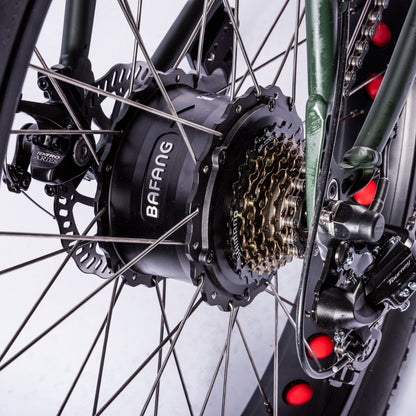 Vintage-Cruiser Ebike | Groen