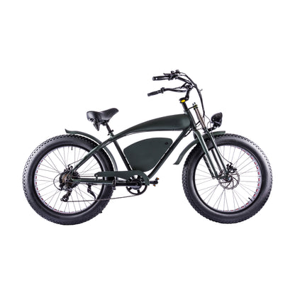 Vintage-Cruiser Ebike | Groen