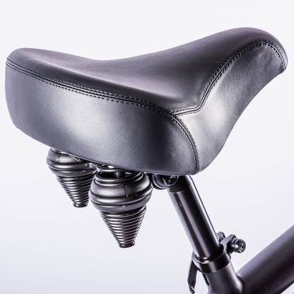 Vintage-Cruiser Ebike | Zwart