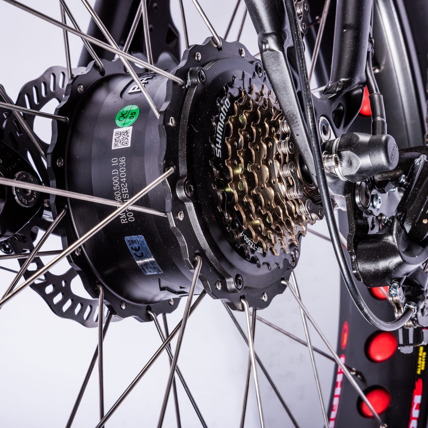 Vintage-Cruiser Ebike | Zwart