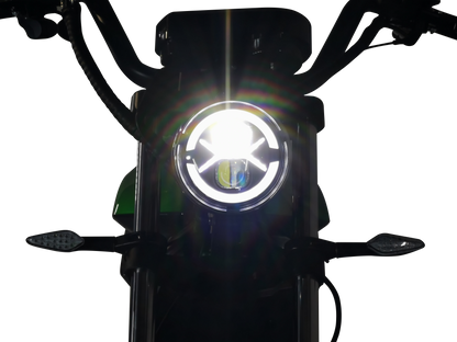 Cafecruiser HL6.0 | Reptilian Gold