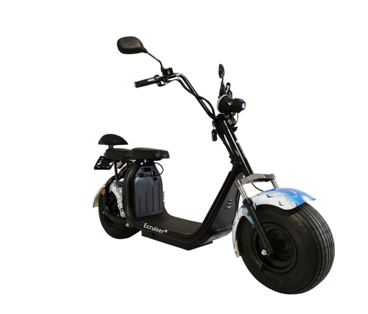 Ecruiser X1 - Dolfijn