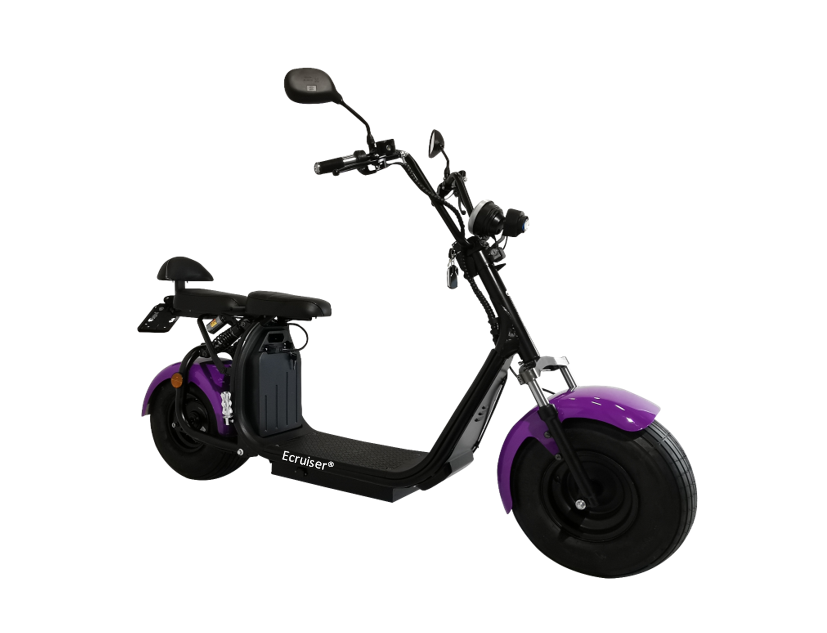 Ecruiser X1 - Lilla