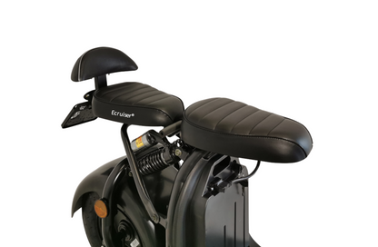 Ecruiser X1 - Panter
