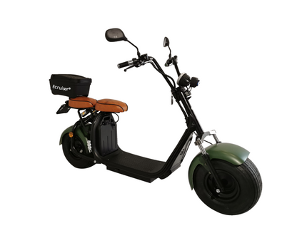 Ecruiser X1 - Met Koffer