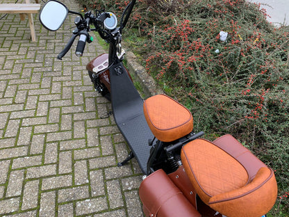 Ecruiser X1 - Custom Coffee