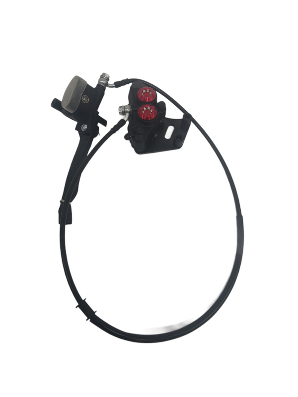 Cafecruiser HL6.0 Achter Remsysteem