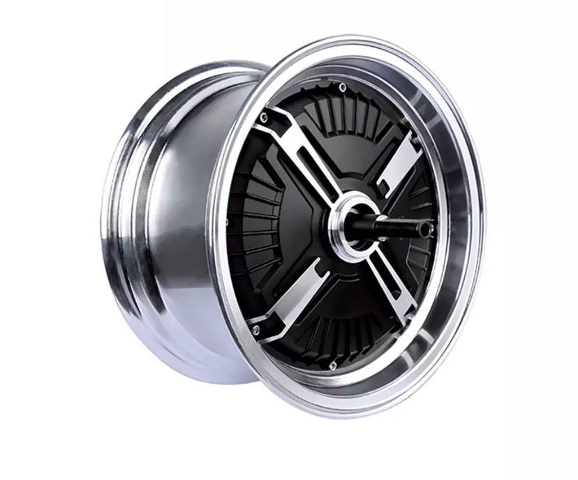 Echopper 2.0 | 3.0 | V8 | M2 - 2000watt Motor