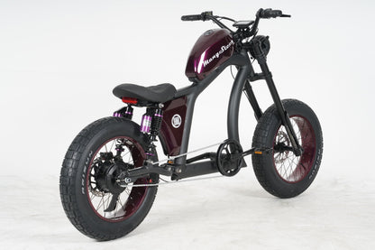 Chopper bike FT02