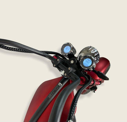 Ecruiser Echopper 3.0 | Matt Rood |
