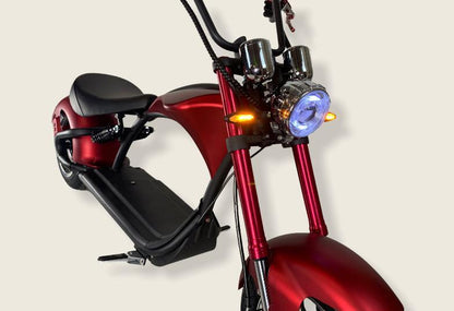 Ecruiser Echopper 3.0 | Matt Rood |
