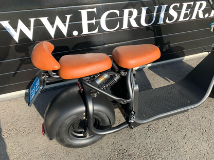 Ecruiser X1 - 336km