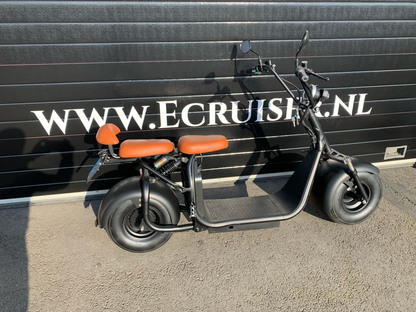 Ecruiser X1 - 336km