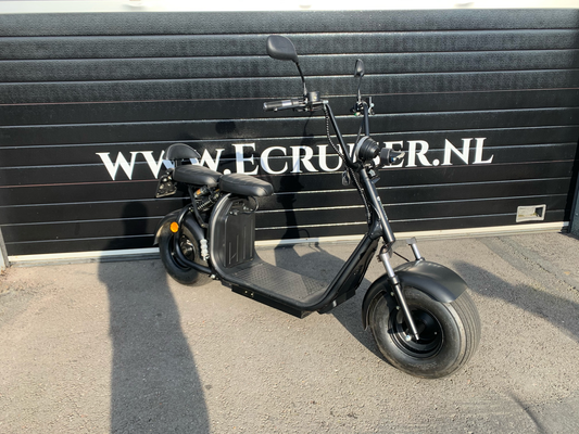 Ecruiser X1 - 473km