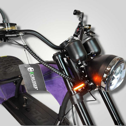 Echopper Endian | Zino customs