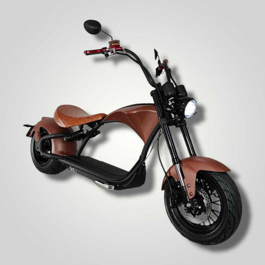 Ecruiser Echopper 3.0 | Roest
