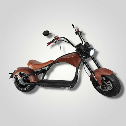 Ecruiser Echopper 3.0 | Roest