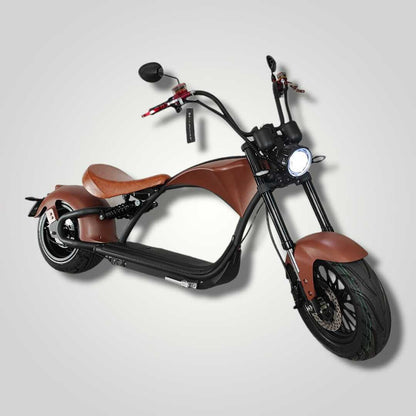 Ecruiser Echopper 3.0 | Roest