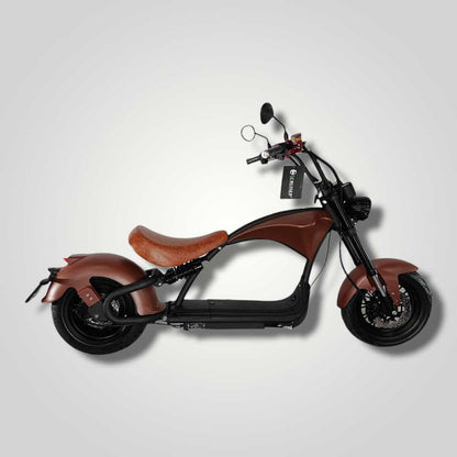Ecruiser Echopper 3.0 | Roest