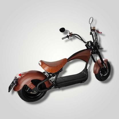 Ecruiser Echopper 3.0 | Roest