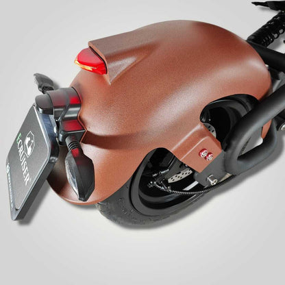 Ecruiser Echopper 3.0 | Roest