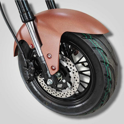Ecruiser Echopper 3.0 | Roest