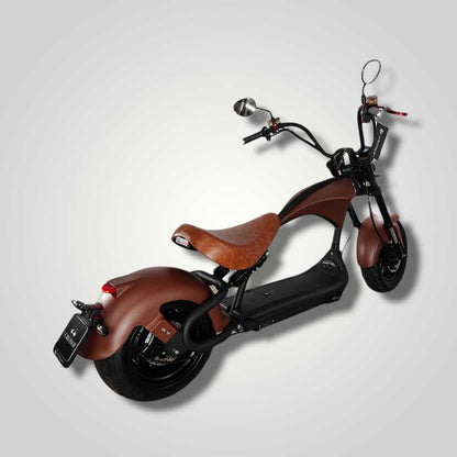 Ecruiser Echopper 3.0 | Roest