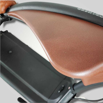 Ecruiser Echopper 3.0 | Roest
