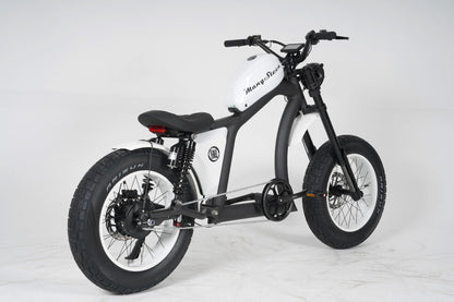 Chopper bike FT02