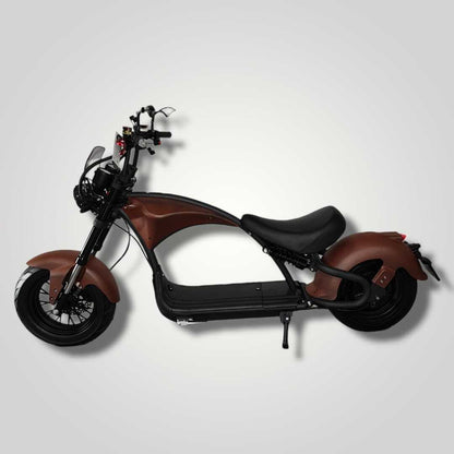 Ecruiser Echopper 3.0 | Rat rod