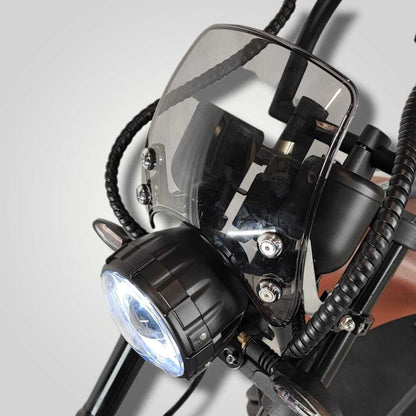 Ecruiser Echopper 3.0 | Rat rod
