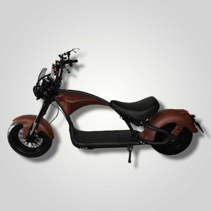 Ecruiser Echopper 3.0 | Rat rod