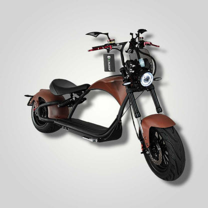 Ecruiser Echopper 3.0 | Rat rod