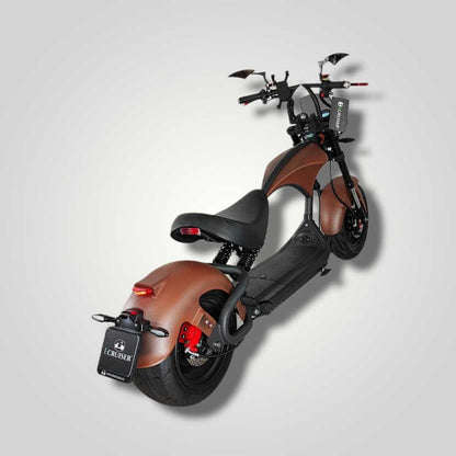 Ecruiser Echopper 3.0 | Rat rod