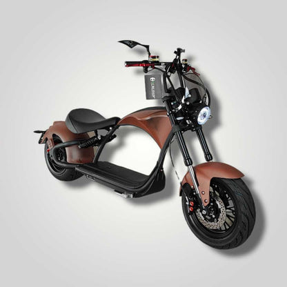 Ecruiser Echopper 3.0 | Rat rod
