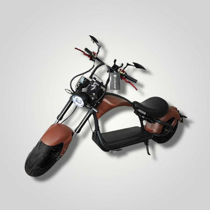 Ecruiser Echopper 3.0 | Rat rod