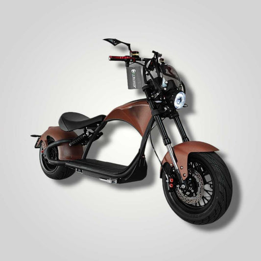 Ecruiser Echopper 3.0 | Rat rod