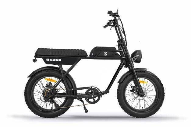 AGM GT250 | Fat Bike