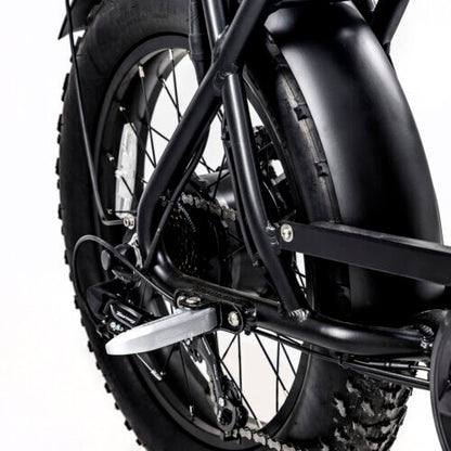 AGM GT250 | Fat Bike