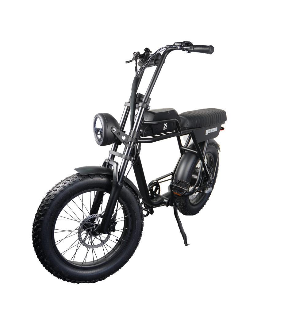 AGM GT250 | Fat Bike