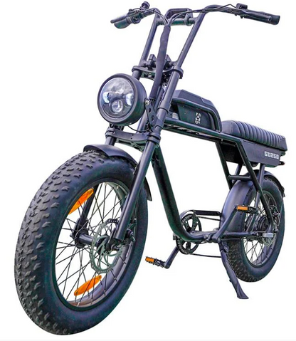 AGM GT250 | Fat Bike