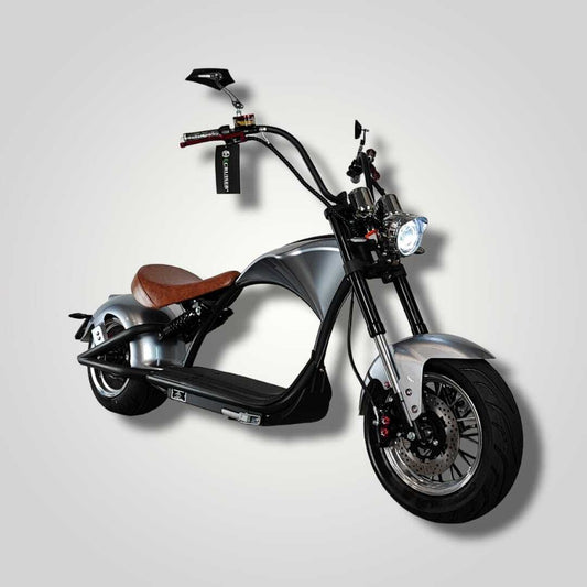 Echopper 3.0 | Silver |