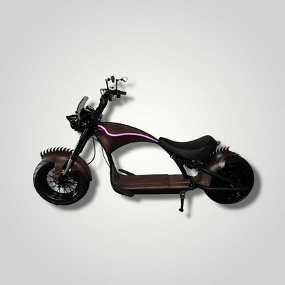Ecruiser Echopper 3.0 | Mad Max