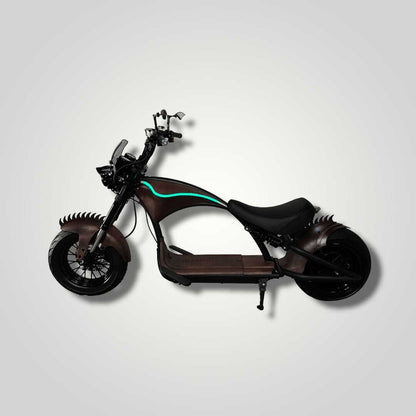 Ecruiser Echopper 3.0 | Mad Max