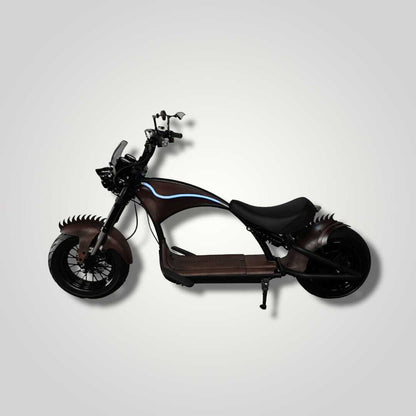 Ecruiser Echopper 3.0 | Mad Max