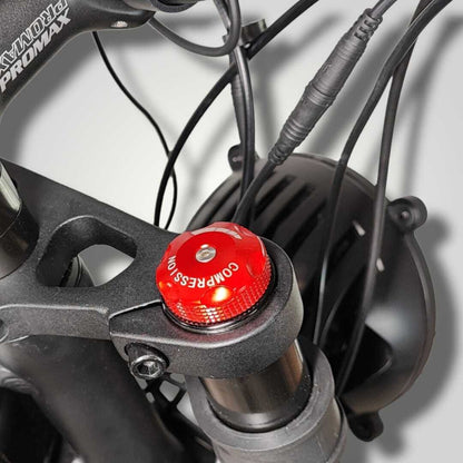 Alligator E-bike