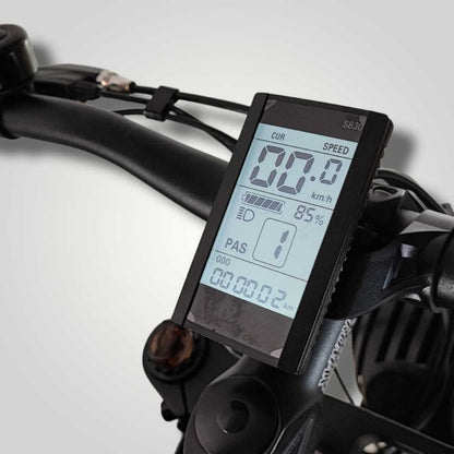 Alligator E-bike