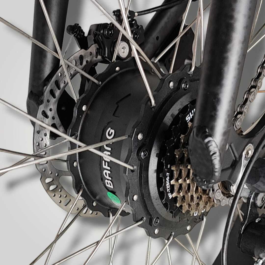 Alligator E-bike